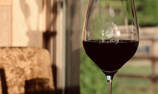 Et glas rødvin står på et bord med sollys på, nyder udsigten ved Thuysgrond feriepark i Nord-Brabant.