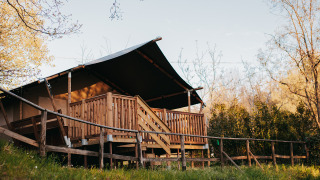 Safari-Zelt mit sanitären Einrichtungen auf Camping Lucherino in Italien, umgeben von Natur und Bäumen.