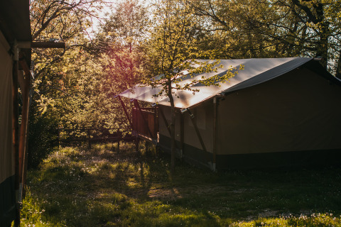 Safari tent at Camping Lucherino, Italy, surrounded by trees and dappled sunlight in a forest setting.