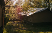 Safari-telt i morgenlys ved Camping Lucherino, Italien, omgivet af træer og grøn natur.