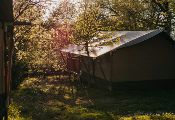 Safari-telt i morgenlys ved Camping Lucherino, Italien, omgivet af træer og grøn natur.