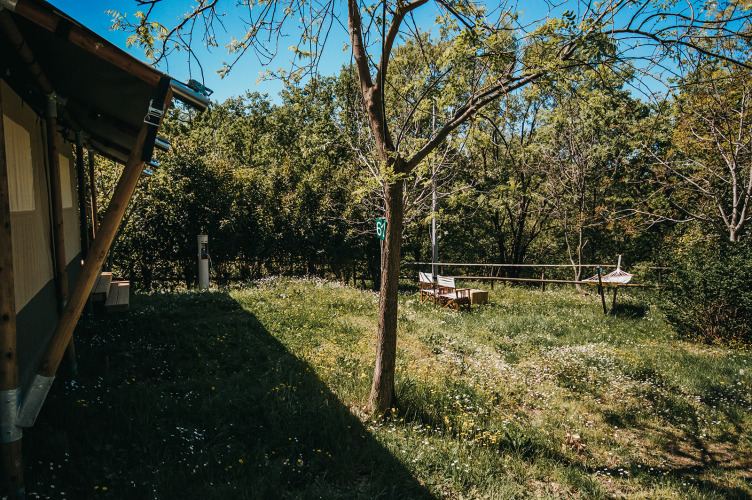 Jardín de tienda safari en Camping Lucherino, Italia, con césped, árboles y zona de asientos exterior.
