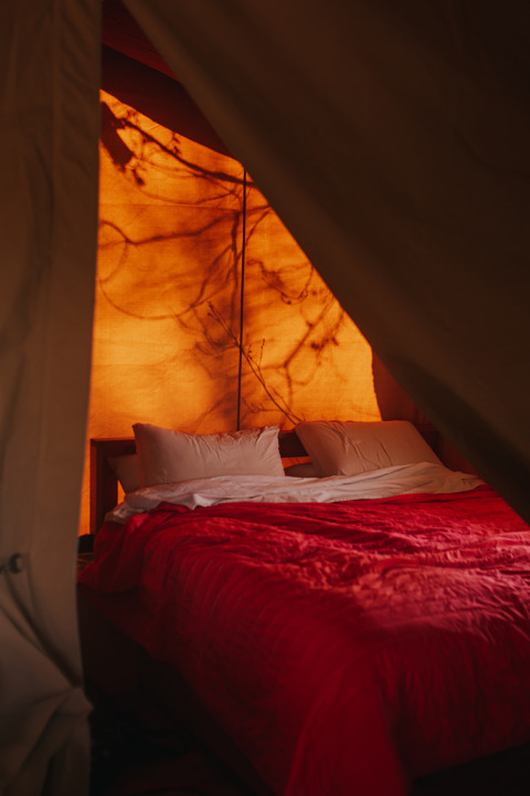 Interieur van een Safari Tent Garden bij Camping Lucherino in Italië, met een gezellig bed en warm licht.