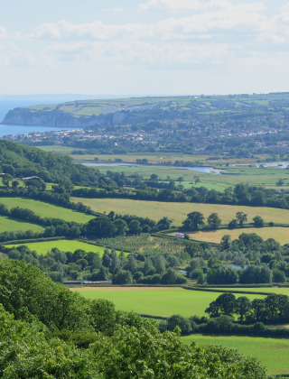 Heuvelachtig landschap met groene velden, bomen en verre kust bij Inkpen, Zuidoost-Engeland, VK.