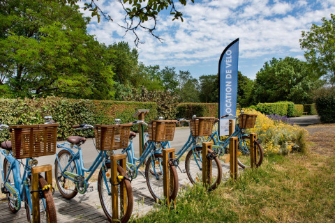 Location de vélos au Flower Camping L'Ile d'Offard en Pays de la Loire, France, avec des vélos bleus et verdure.