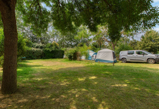 Area campeggio con tende e auto sotto gli alberi al Flower Camping L'Ile d'Offard, Pays de la Loire, Francia.