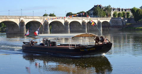 Båd sejler på floden nær en stenbro ved Flower Camping L'Ile d'Offard i Pays de la Loire, Frankrig.