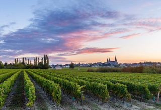 Sunset over vineyards near Flower Camping L'Ile d'Offard holiday park, Pays de la Loire, France, with a village view.