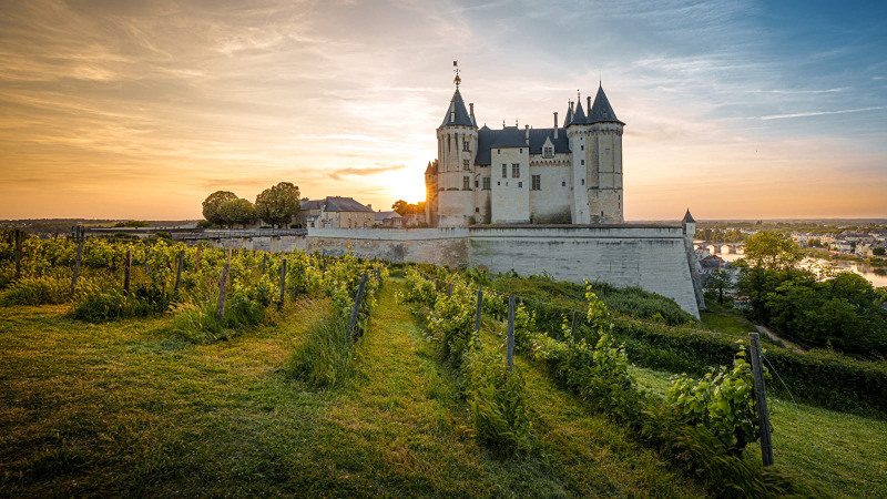 A castle with towers in Saumur, Pays de la Loire, France, surrounded by vineyards at sunset near a river.