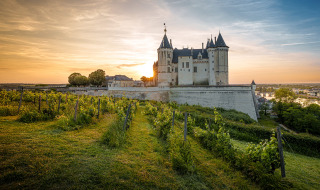 Kasteel met torens in Saumur, Pays de la Loire, Frankrijk, omringd door wijngaarden bij zonsondergang.