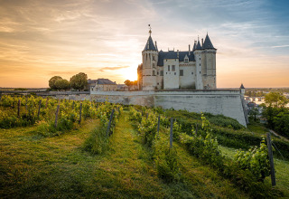 A castle with towers in Saumur, Pays de la Loire, France, surrounded by vineyards at sunset near a river.
