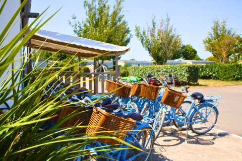 Biciclette blu con cestini presso Flower Camping Les Ilates, parco vacanze in Nouvelle-Aquitaine, Francia.