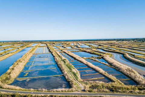 Vista aérea de un parque vacacional con glamping, rodeado de campos inundados y naturaleza.