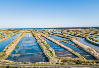 Vista aérea de un parque vacacional con glamping, rodeado de campos inundados y naturaleza.