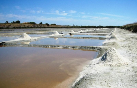Marais salants et tas de sel au Flower Camping Les Ilates en Nouvelle-Aquitaine, France.