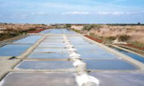 Salt evaporation ponds at Flower Camping Les Ilates holiday park in Nouvelle-Aquitaine, France, on a clear day.