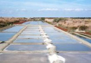 Salt evaporation ponds at Flower Camping Les Ilates holiday park in Nouvelle-Aquitaine, France, on a clear day.