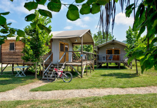 Hytter på pæle omgivet af grønne træer i Flower Camping Les Ondines, en feriepark i Occitanie, Frankrig.