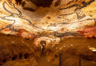 Pitture rupestri di animali sul soffitto di una grotta antica a Flower Camping Les Ondines in Occitania, Francia.