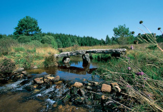 Stone bridge over a small stream surrounded by grass and trees at Flower Camping La Plage, Nouvelle-Aquitaine, France.