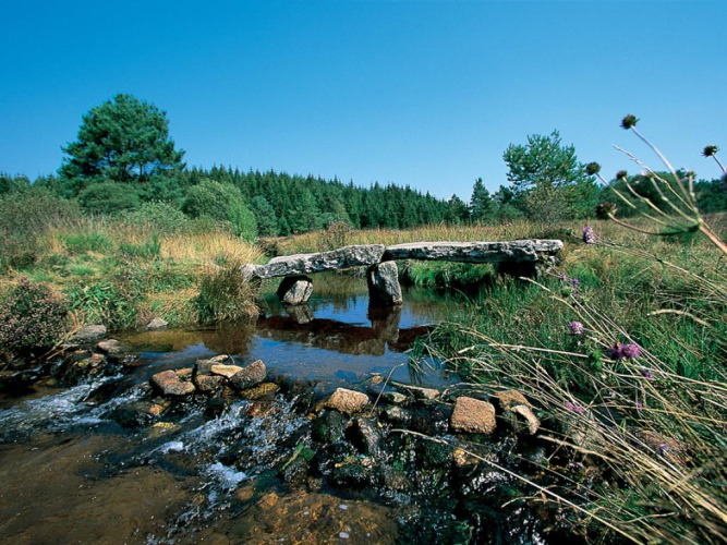 Puente de piedra sobre un arroyo rodeado de hierba y árboles en Flower Camping La Plage, Nouvelle-Aquitaine, Francia.