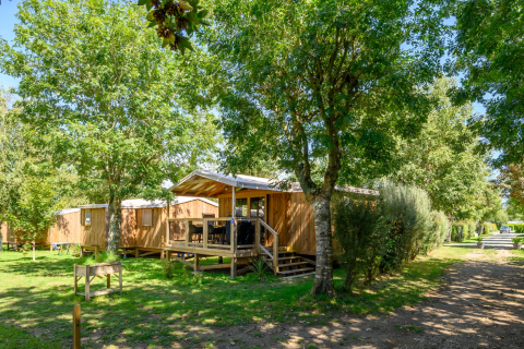 Houten huisjes onder bomen bij Flower Camping Cap Finistère, een vakantiepark in Bretagne, Frankrijk.