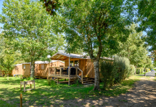 Cabañas de madera bajo los árboles en Flower Camping Cap Finistère, parque vacacional en Bretaña, Francia.