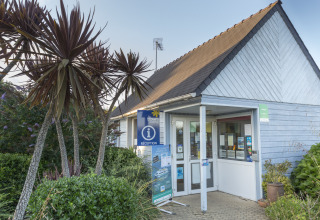 Receptionen ved Flower Camping Cap Finistère i Bretagne, Frankrig, omgivet af palmer og grønne planter.