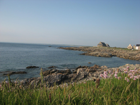 Rotsachtige kustlijn met gras, wilde bloemen, zeezicht en huizen bij Flower Camping Cap Finistère in Bretagne.