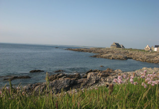 Felsige Küste mit Gras, Wildblumen, Meerblick und Häusern bei Flower Camping Cap Finistère in der Bretagne.