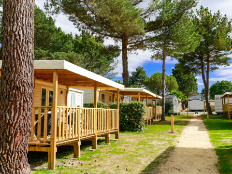 Holiday cottages surrounded by pine trees at Flower Camping Le Vieux Moulin in Brittany, France, on a sunny day.