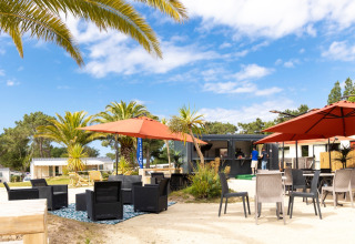 Udendørs loungeområde med palmer, parasoller og moderne siddepladser på Flower Camping Le Vieux Moulin i Bretagne.