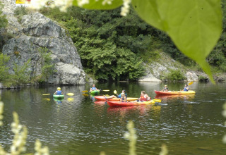 Groep mensen in felgekleurde kajaks op een rustige rivier tussen bomen en rotsen in Auvergne-Rhône-Alpes.