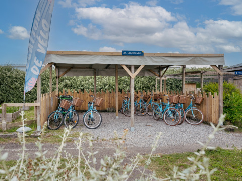 Fahrradverleih am Flower Camping Les Paludiers, blaue Fahrräder mit Körben in Pays de la Loire, Frankreich.