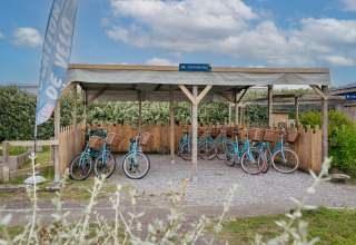 Location de vélos au Flower Camping Les Paludiers avec vélos bleus et paniers en Pays de la Loire, France.