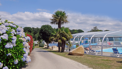 Parque vacacional en Bretaña, Francia, con piscina cubierta, palmeras y hortensias en flor.