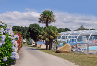 Hyggelig feriepark i Bretagne, Frankrig, med overdækket pool, palmer og blomstrende hække.