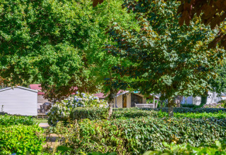 Lush trees, hedges, and mobile homes at Flower Camping Le Kerleyou holiday park in Brittany, France.