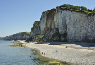 Strand og dramatiske kalkklipper ved Flower Camping La Chênaie, et feriested i Normandiet, Frankrig.