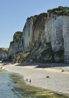 Clifftop view at Flower Camping La Chênaie in Normandy, France, overlooking a rocky beach and sea.