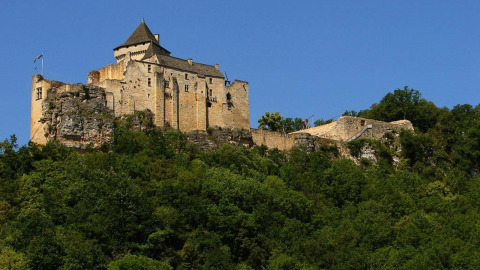 Photo of an ancient castle atop a forested hill under clear blue sky in Nouvelle-Aquitaine, France.