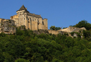 Foto de un antiguo castillo sobre una colina boscosa bajo un cielo azul en Nouvelle-Aquitaine, Francia.