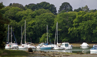 Flere sejlbåde fortøjet ved en flod omgivet af frodig skov i nærheden af Vannes, Bretagne, Frankrig.