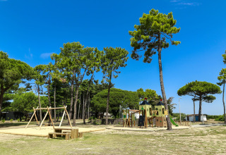 Legeplads med gynger og klatrestativ i Flower Camping Tamarins Plage, under høje fyrretræer i Frankrig.