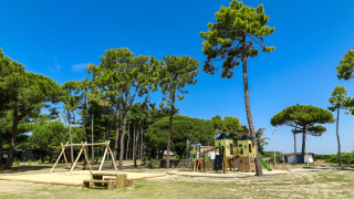 Aire de jeux avec balançoires et château au Flower Camping Tamarins Plage, entourée de pins.