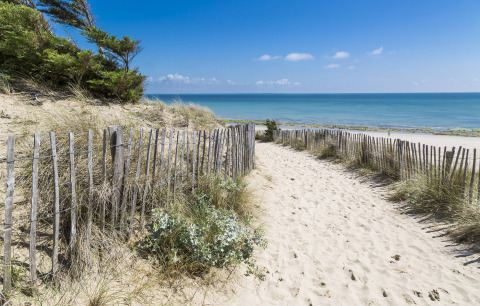 Sendero arenoso entre dunas y cercas de madera hacia el mar en Flower Camping Tamarins Plage, Nouvelle-Aquitaine.