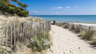 Sentier de sable entre dunes et clôtures en bois menant à la mer au Flower Camping Tamarins Plage en Nouvelle-Aquitaine.