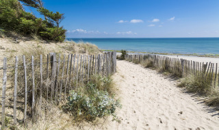 Zandpad tussen de duinen met houten afsluiting richting zee bij Flower Camping Tamarins Plage, Nouvelle-Aquitaine.