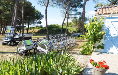 Vélos et voiturette de golf sous les arbres au Flower Camping Tamarins Plage, Nouvelle-Aquitaine, France.