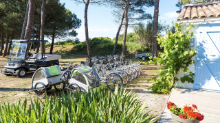 Vélos et voiturette de golf sous les arbres au Flower Camping Tamarins Plage, Nouvelle-Aquitaine, France.